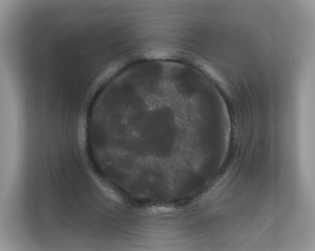 X0000111050586200907021621