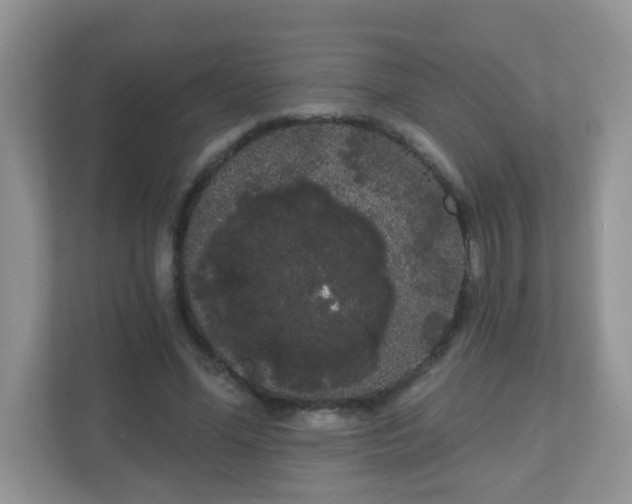 X0000111050588200907021621