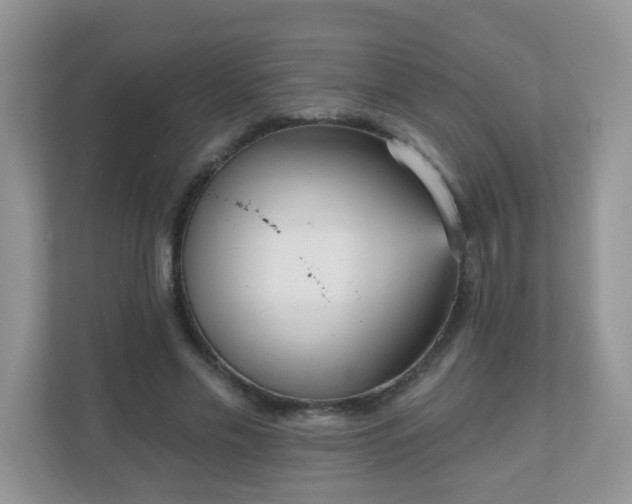 X0000111050589200907021621