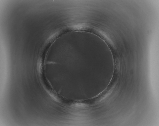 X0000111050590200907021621