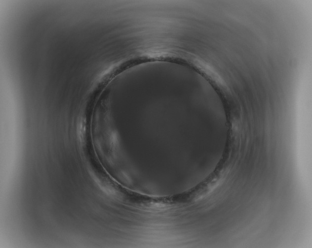 X0000111050592200907021621