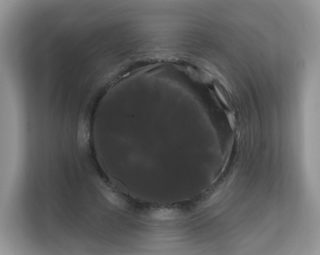 X0000111050593200907021621