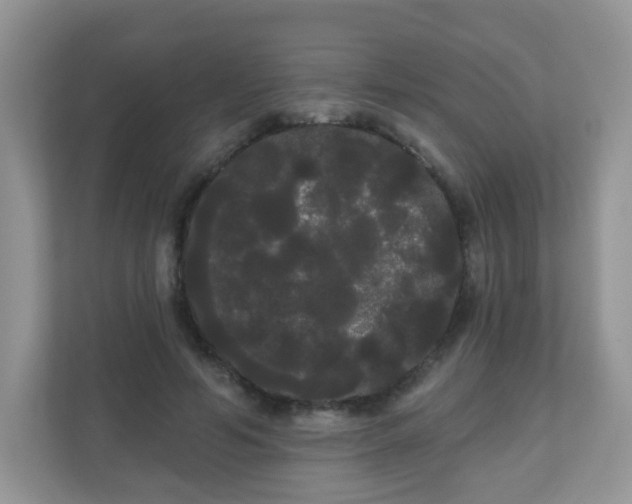 X0000111050594200907021621