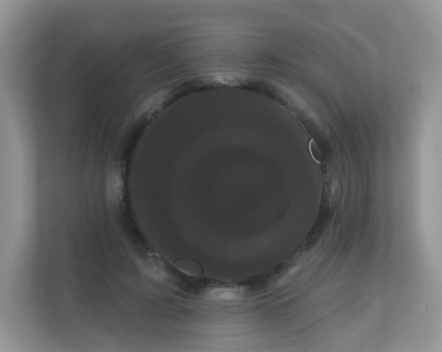 X0000111050595200907021621