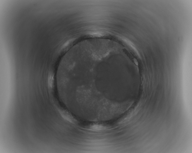 X0000111050596200907021621