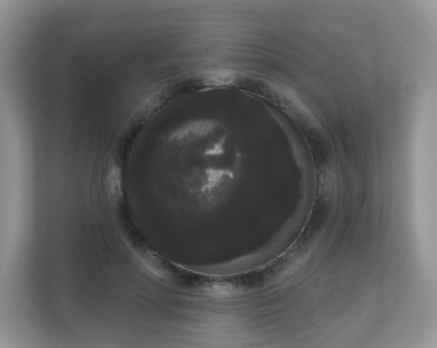 X0000111050598200907021621