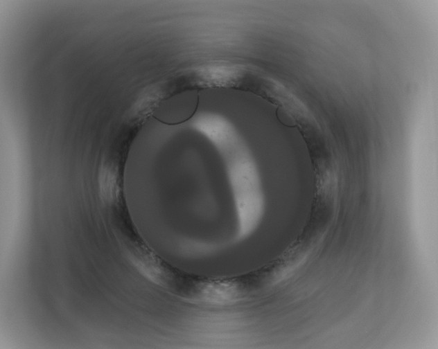 X0000111050599200907021621