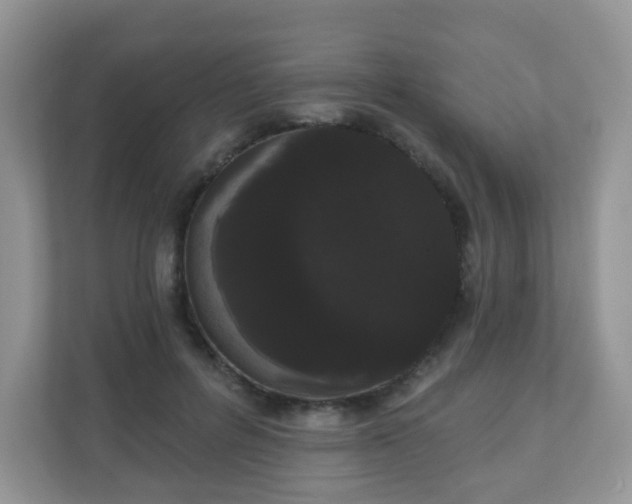 X0000111050600200907021621