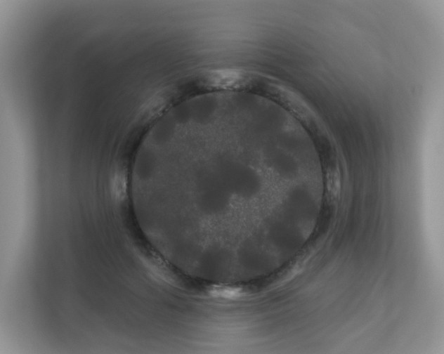 X0000111050602200907021621