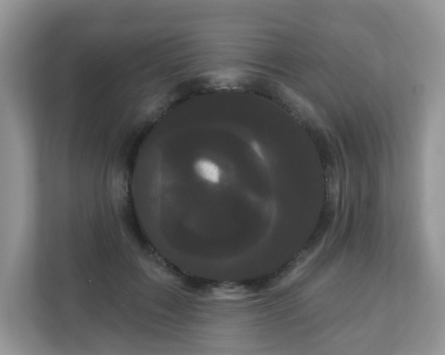 X0000111050603200907021621