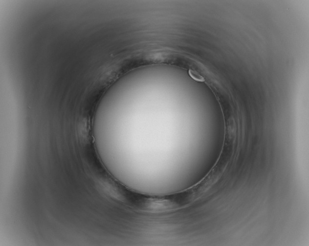 X0000111050605200907021621