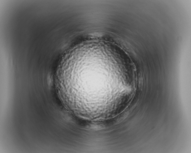 X0000111050608200907021621