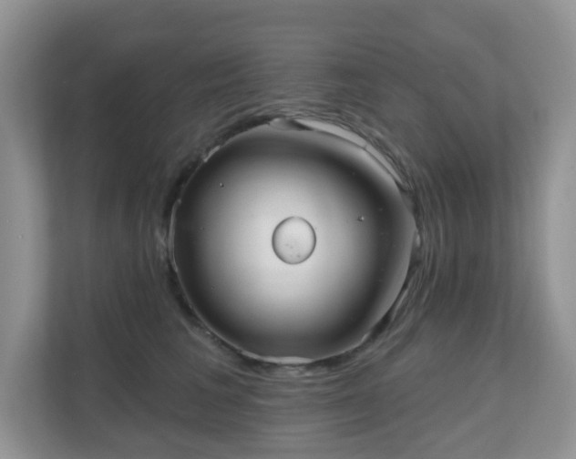 X0000111050613200907021621