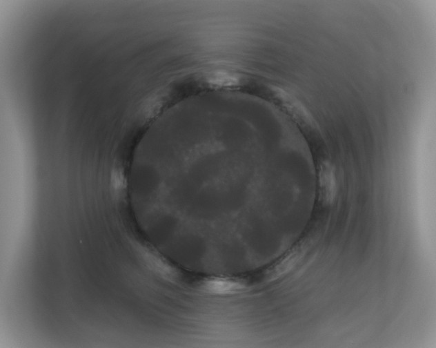 X0000111050614200907021621