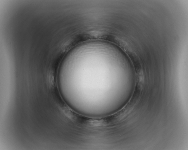 X0000111050615200907021621