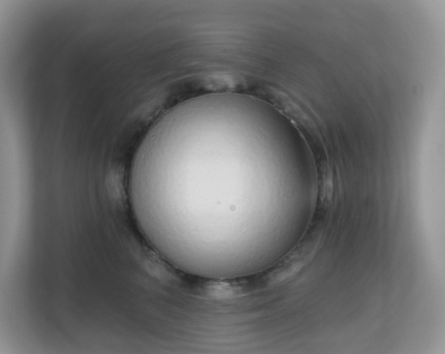 X0000111050616200907021621