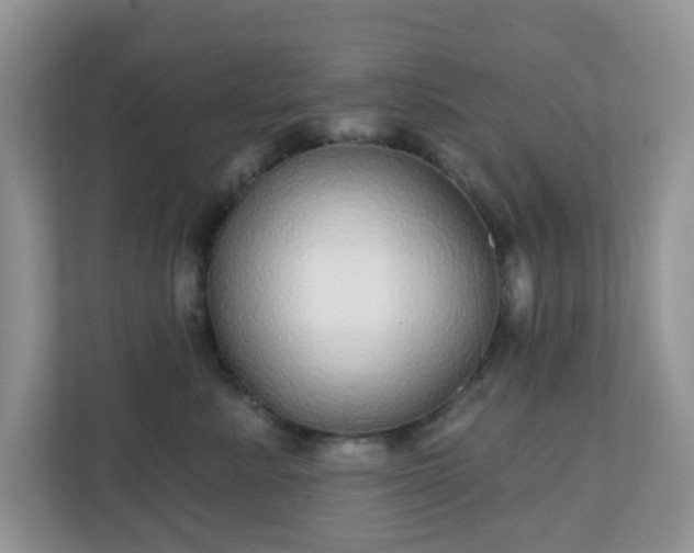 X0000111050619200907021621