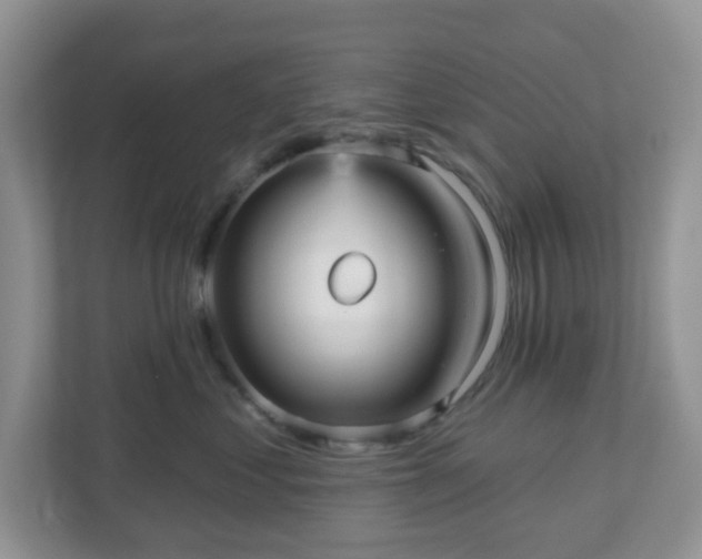 X0000111050621200907021621