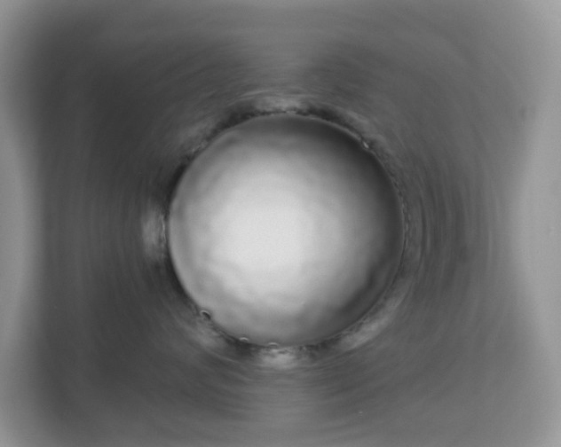 X0000111050624200907021621