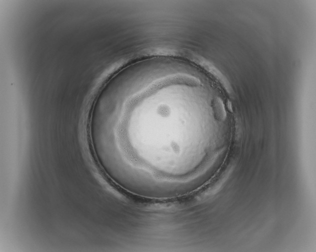 X0000111050625200907021620