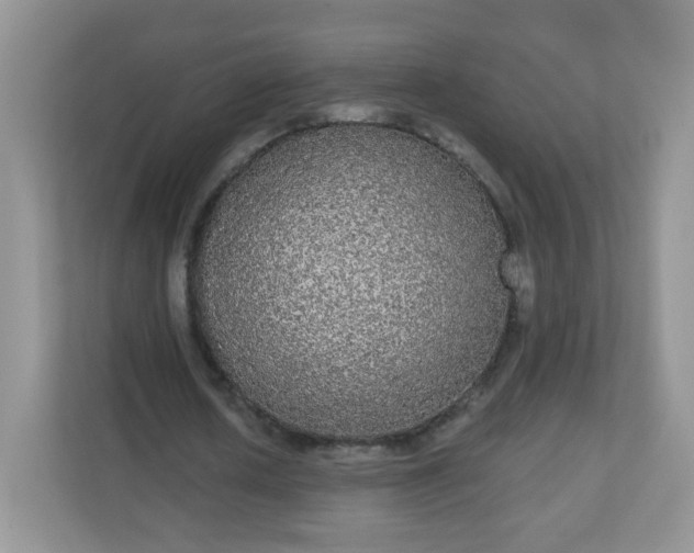 X0000111050626200907021620