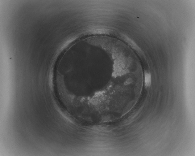 X0000111050627200907021620