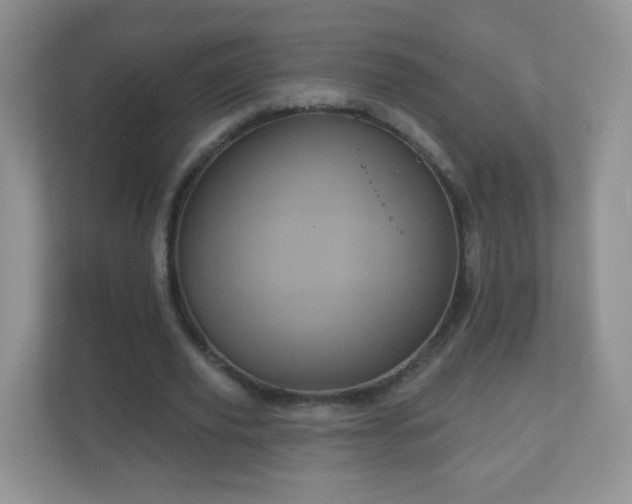 X0000111050629200907021620