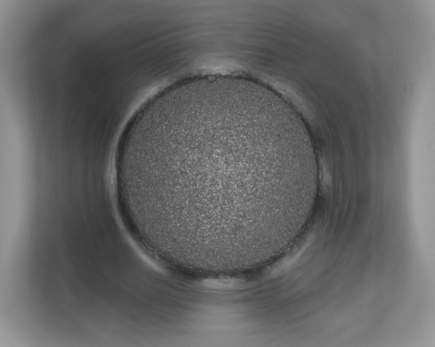 X0000111050630200907021620