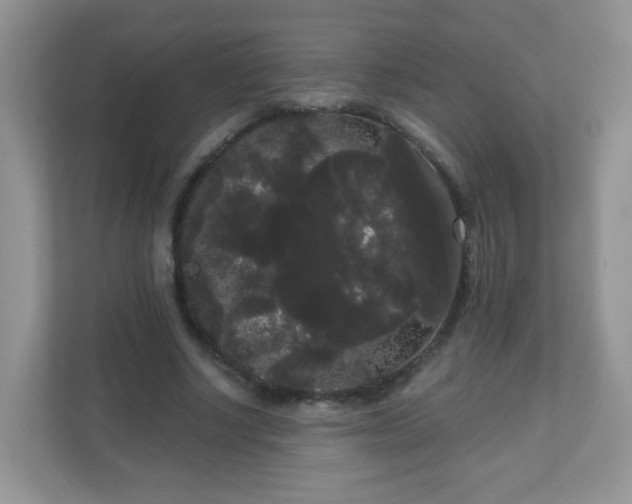 X0000111050634200907021620