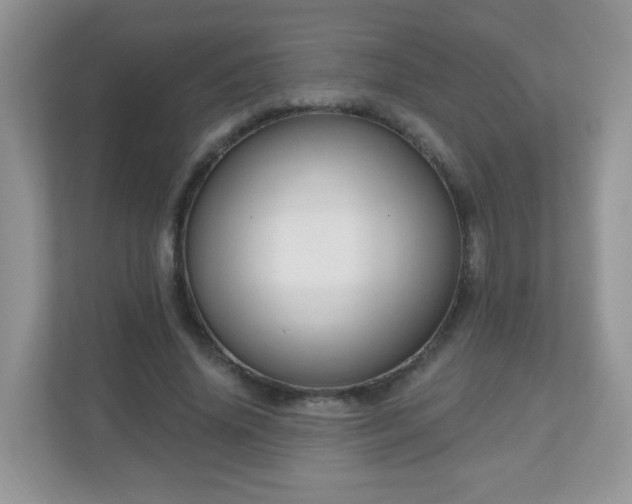 X0000111050636200907021620