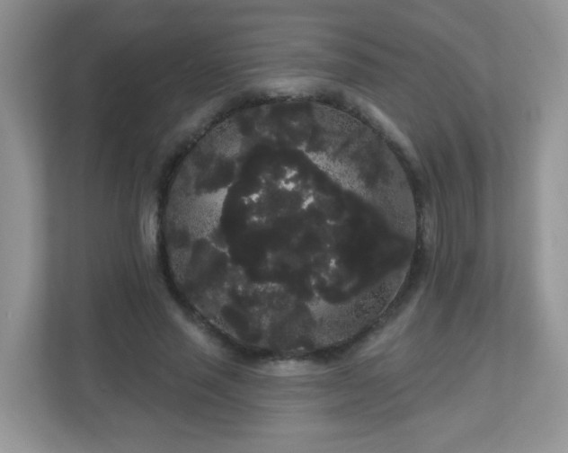 X0000111050637200907021620