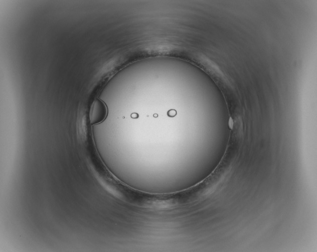 X0000111050638200907021620