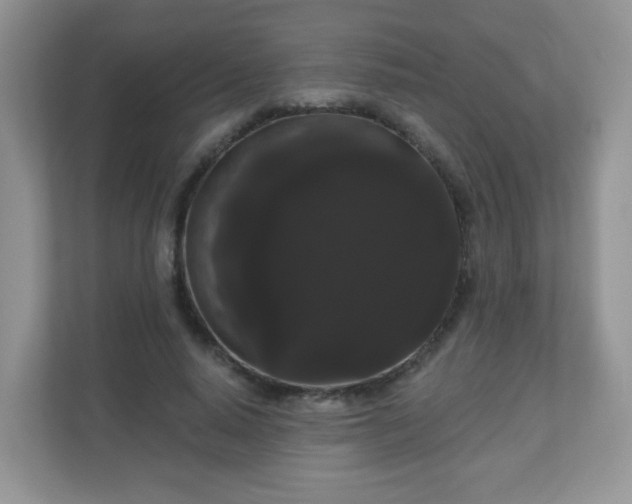 X0000111050640200907021620