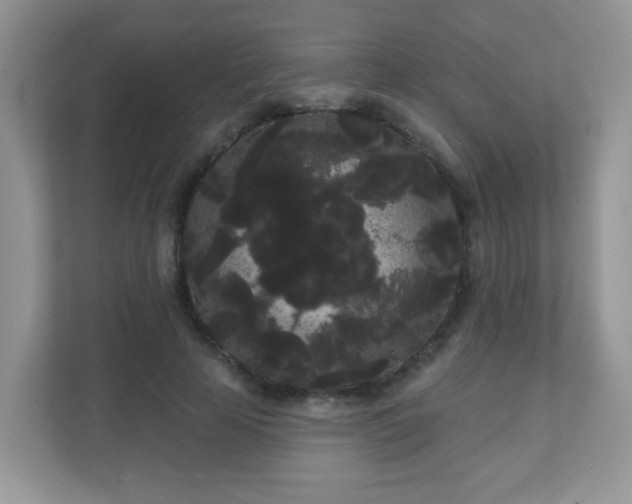 X0000111050641200907021620