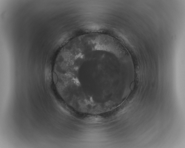 X0000111050642200907021620