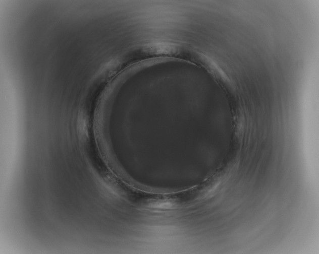 X0000111050643200907021620