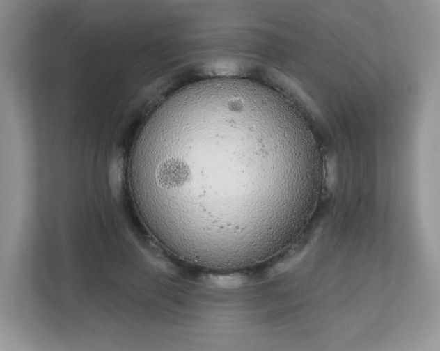 X0000111050645200907021620