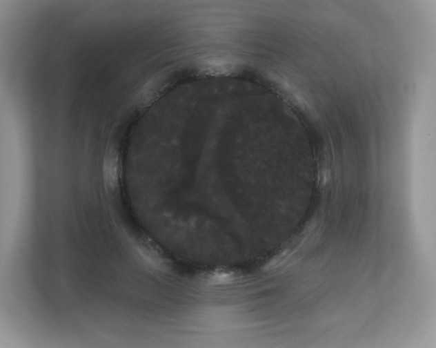 X0000111050647200907021620