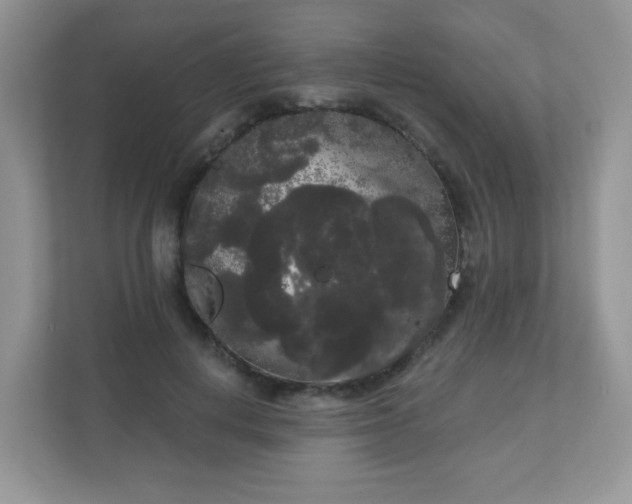 X0000111050648200907021620