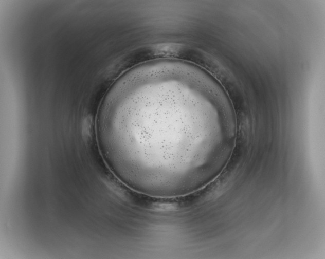 X0000111050649200907021620