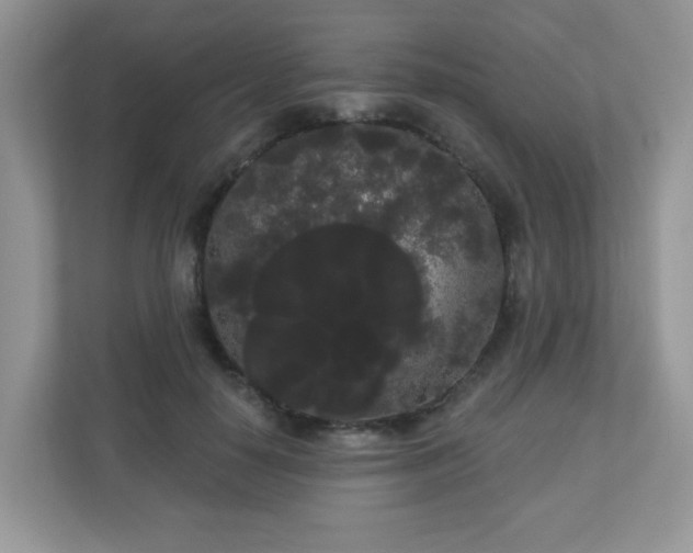 X0000111050650200907021620