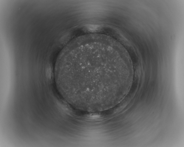 X0000111050651200907021620