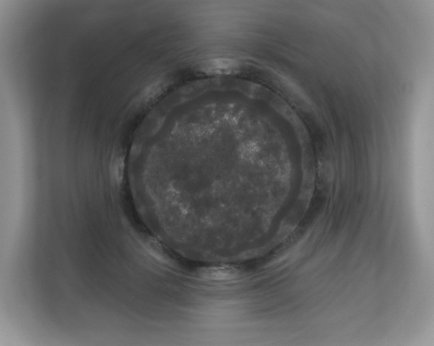 X0000111050652200907021620