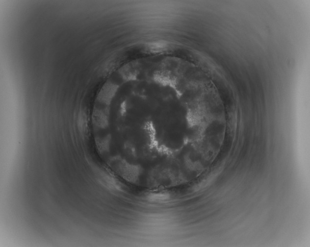 X0000111050653200907021620