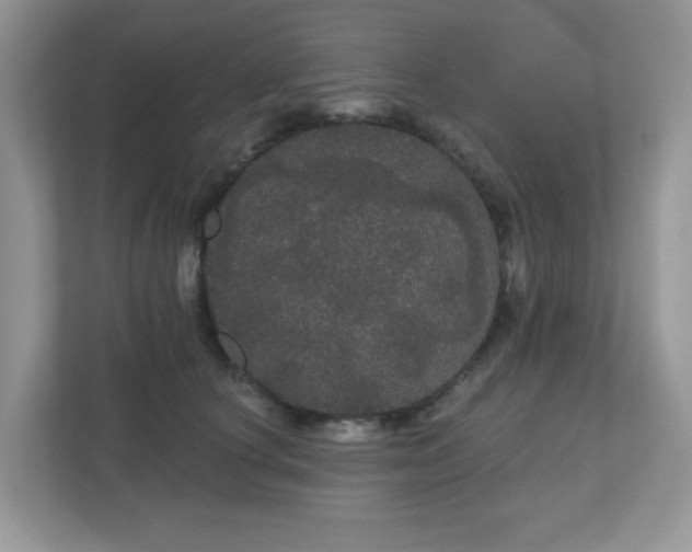 X0000111050660200907021620