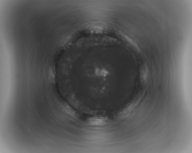 X0000111050661200907021620