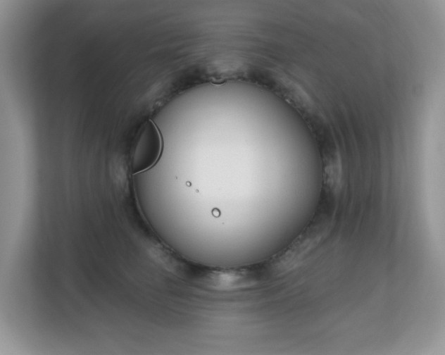 X0000111050662200907021620