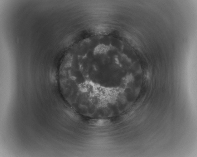 X0000111050663200907021620