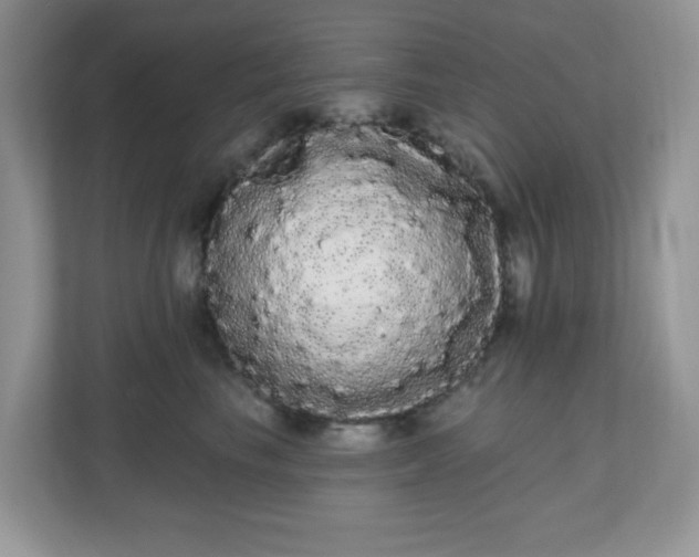 X0000111050665200907021621