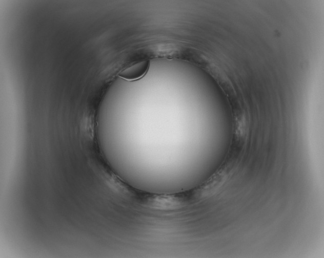 X0000111050666200907021621